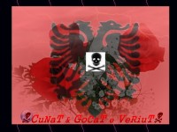 /album/photogallery/roses-39-jpg/